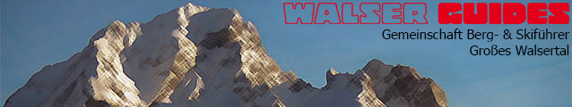 Header Walser Guides