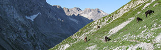 Wanderung um die Rote Wand